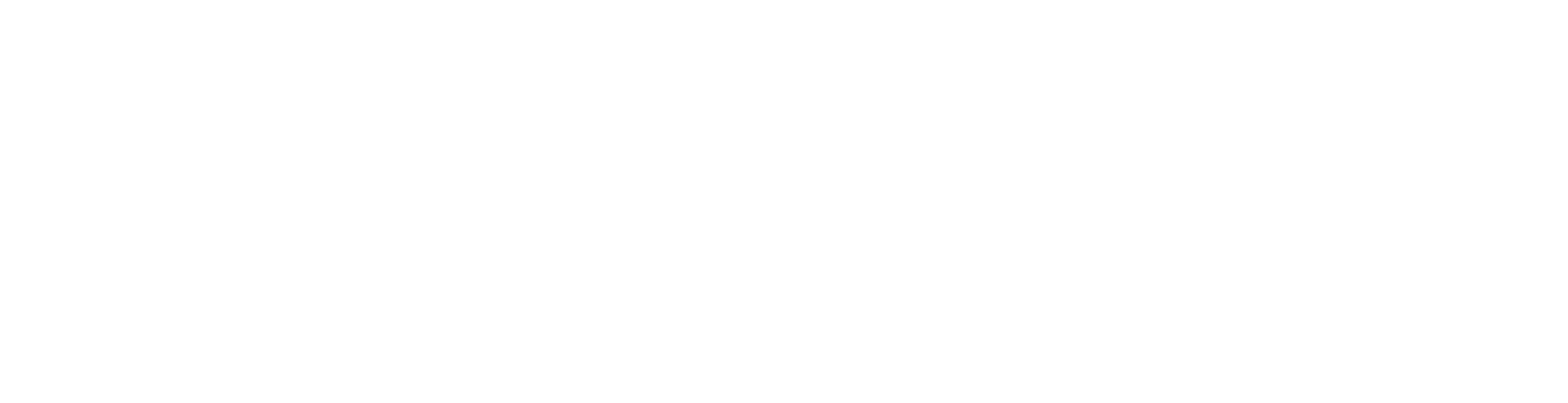 Eagle Digital MRV